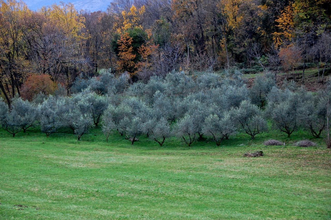 Albergo Rurale Parco Di San Floriano Polcenigo Dış mekan fotoğraf